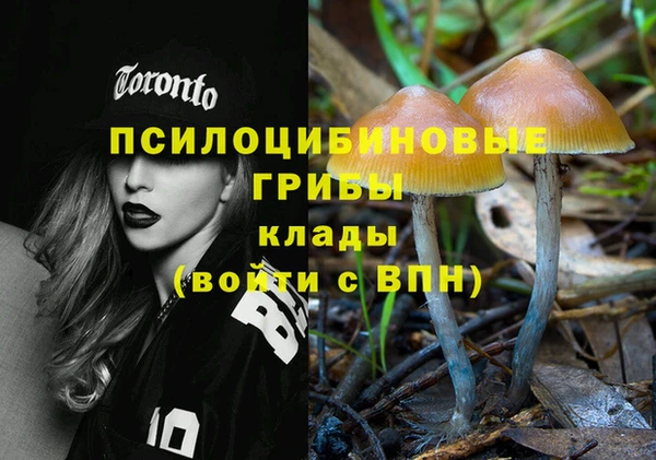 MDMA Гусиноозёрск