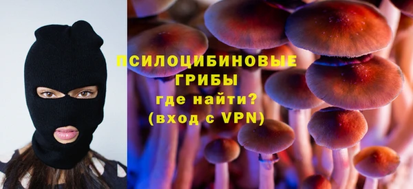 меф Гусь-Хрустальный