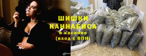 винт Шали