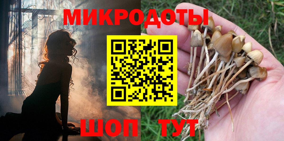 Сланцы  Псилоцибиновые грибы прущие грибы  сколько стоит  Псилоцибиновые грибы Cubensis  Вход с VPN 